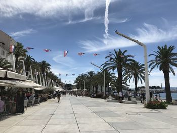 Palm trees and plants in city against sky