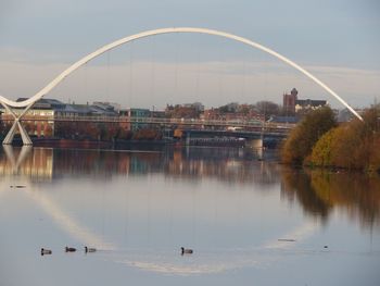 Scenic view of birds in water against sky