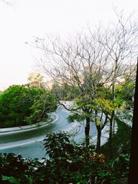 High angle view of trees by lake against sky