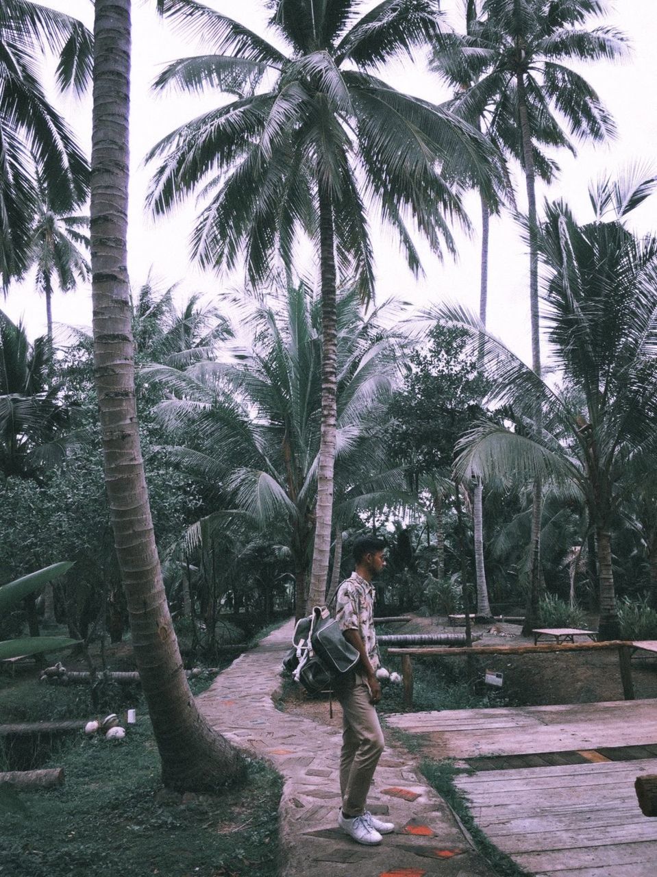 tree, palm tree, plant, tropical climate, full length, one person, nature, growth, lifestyles, day, leisure activity, men, tree trunk, trunk, borassus flabellifer, outdoors, adult, standing, casual clothing, young adult, land, coconut palm tree, person, women, beauty in nature