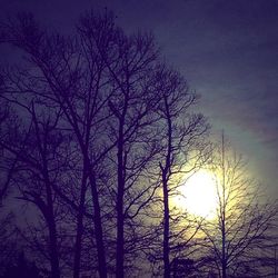 Low angle view of bare trees against sky