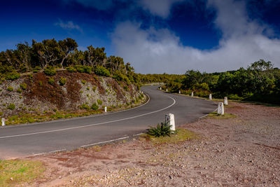 Empty road along plants and trees against sky