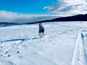 Rear view of horse on snow covered land