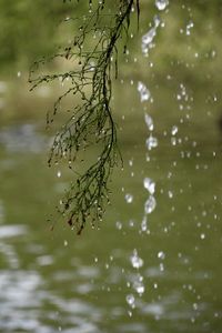 Close-up of rippled water in lake