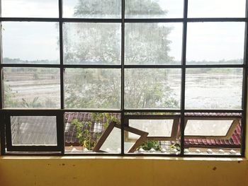 Glass window of building