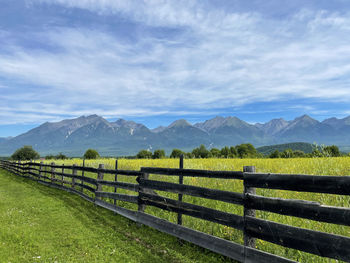 Scenic view of field against sky