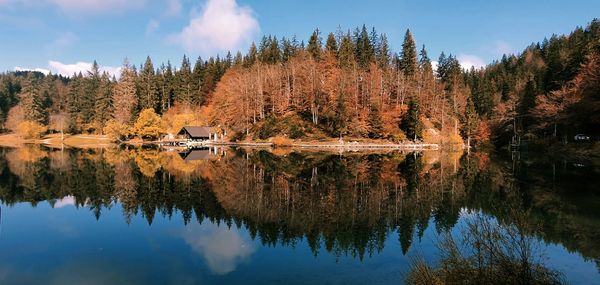 Scenic view of lake by trees against sky