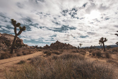 Panoramic view of landscape against sky