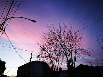 Low angle view of silhouette tree against sky