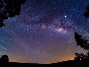 Low angle view of silhouette trees against sky at night