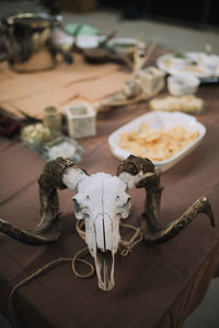 Close-up of animal skull on table