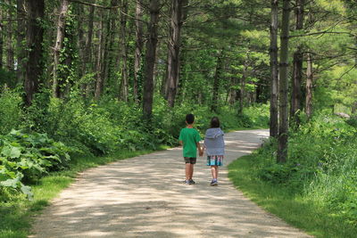 Rear view of friends holding hands while walking on footpath amidst trees