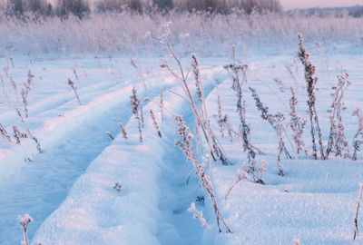 Winter landscape, tire tracks on the snow, snow road