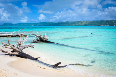 Scenic view of sea against blue sky