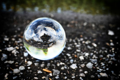 Close-up of bubbles on field