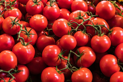 Red tomatoes in the market