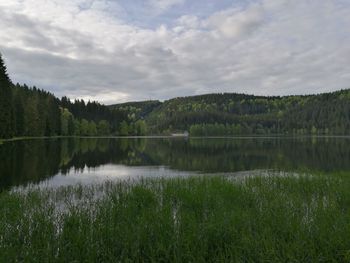 Scenic view of lake by trees against sky