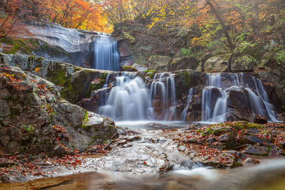 Scenic view of waterfall in forest