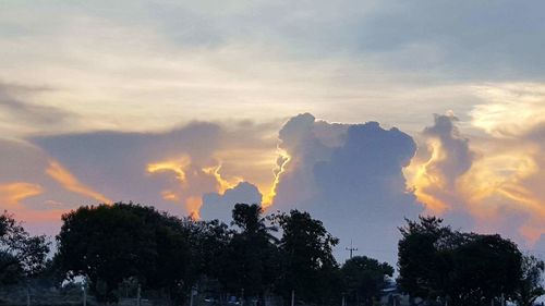 Silhouette trees against sky at sunset