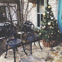 Potted plants in pot