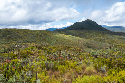Scenic view of mugi hill in chogoria route, mount kenya national park, kenya