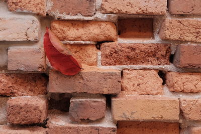 Full frame shot of brick wall