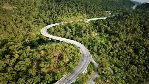 High angle view of road amidst trees in forest