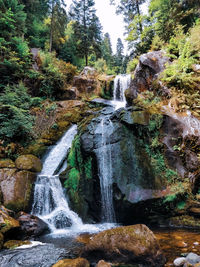 Scenic view of waterfall in forest