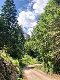 Road amidst trees in forest against sky