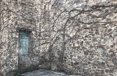 Trees and plants in front of building