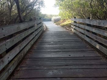 Surface level of wooden footbridge in forest