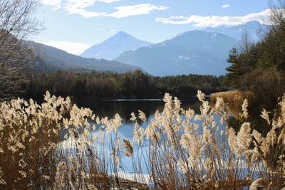 Scenic view of lake and mountains against sky