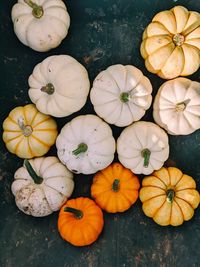 Directly above shot of pumpkins on field