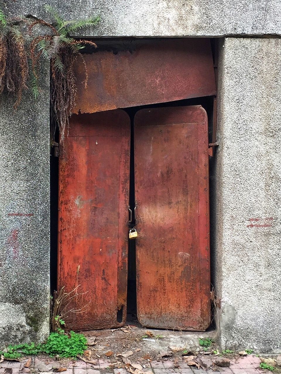 closed, door, no people, built structure, architecture, building exterior, outdoors, day, house, close-up, ajar