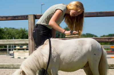 Blond teenage girl grooming pony