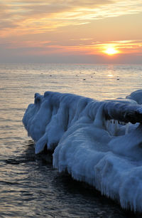 Scenic view of sea at sunset