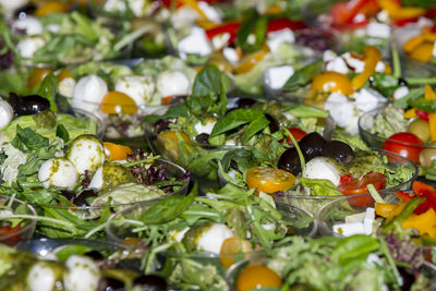 Close-up of salad in bowl