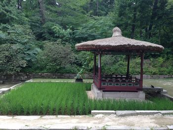 Gazebo in garden against trees in park