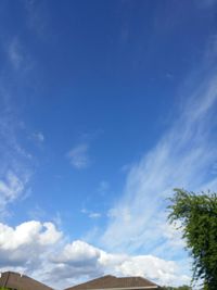 Low angle view of trees against blue sky