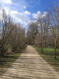 Dirt road amidst bare trees against sky