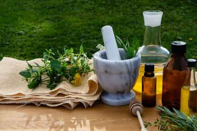 Close-up of potted plant on table