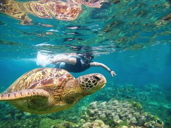 Man swimming underwater by turtle