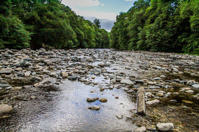 Scenic view of stream in park against sky