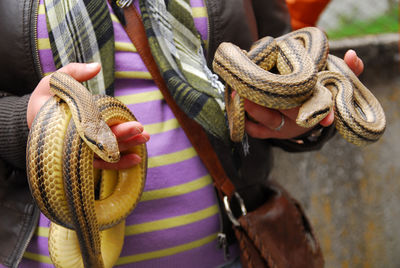 Close-up of man holding rope