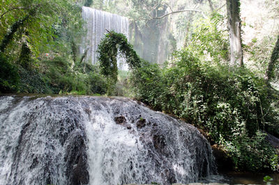 Close-up of waterfall against trees