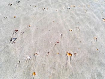 High angle view of sand on beach