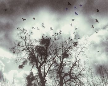 Low angle view of bare tree against cloudy sky