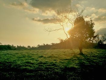 Scenic view of grassy field against sky at sunset