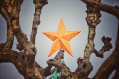 Low angle view of christmas tree against sky