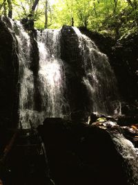 Scenic view of waterfall in forest